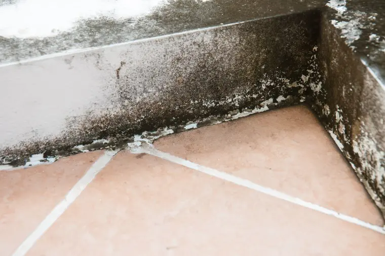 Condensation from AC unit and mold