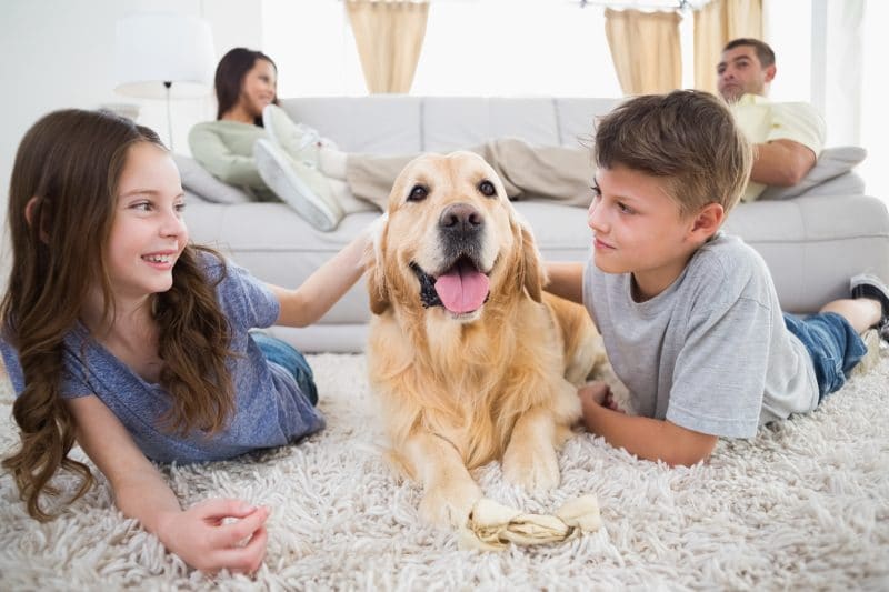 Bigstock Cute Siblings Stroking Dog On 84986207 1 E1502223862797