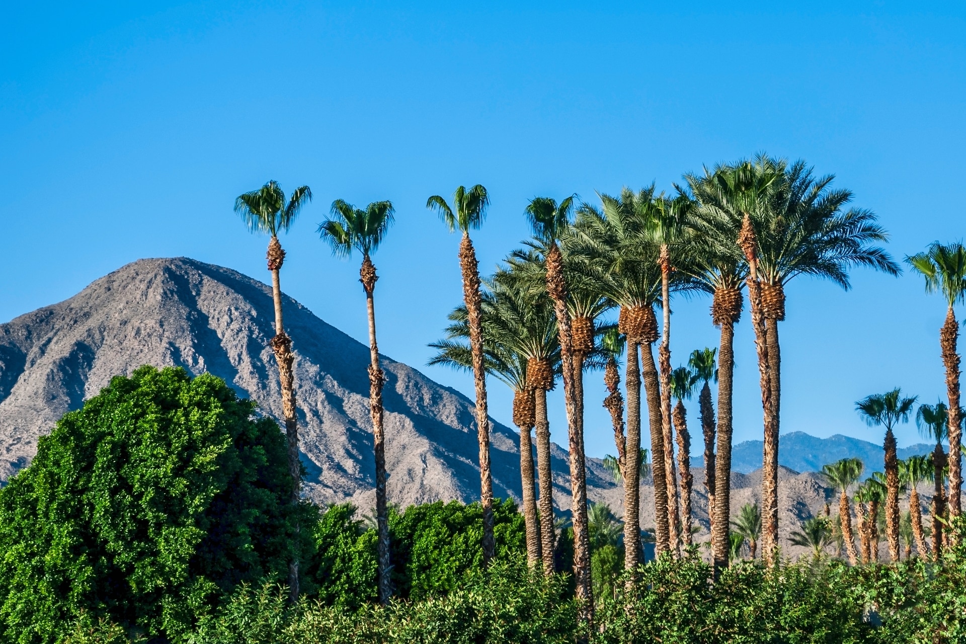 California Desert Landscape@2x