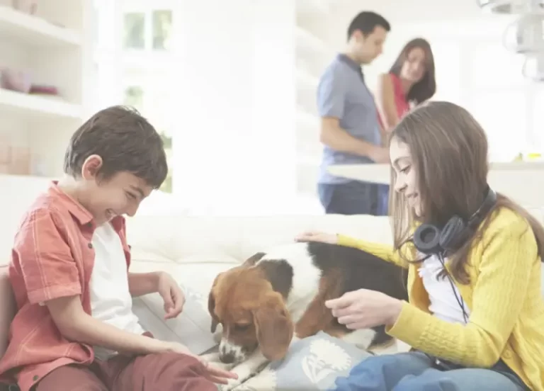 Children Playing With Dog On Sofa