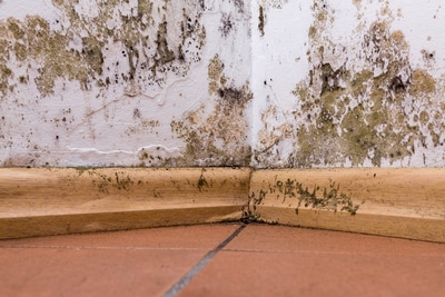 Having the problem of air conditioning leaking water is nothing to ignore.